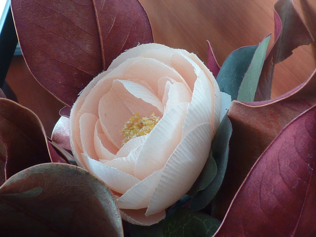 No s'ha trobat l'arxiu